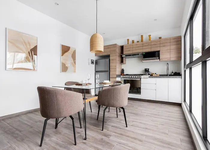 Depamanuela En La Roma Con Roof Garden Apartment Mexico City